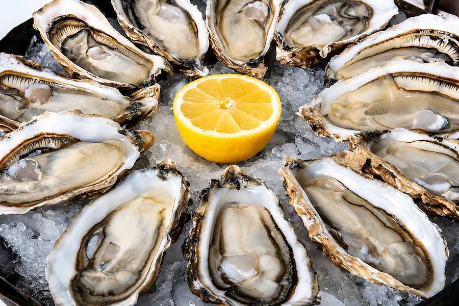 Fresh oysters on the half shell arranged on crushed ice around a halved lemon, ready to serve.